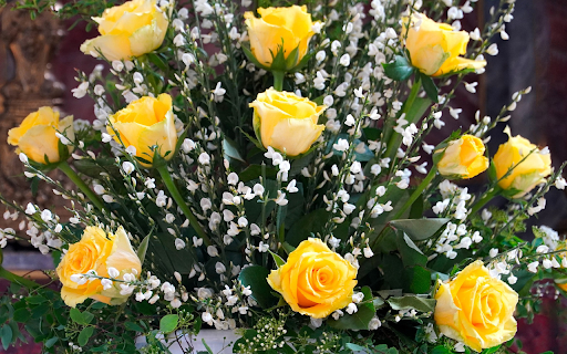 Yellow rose with white flowers  from Chrome web store to be run with OffiDocs Chromium online