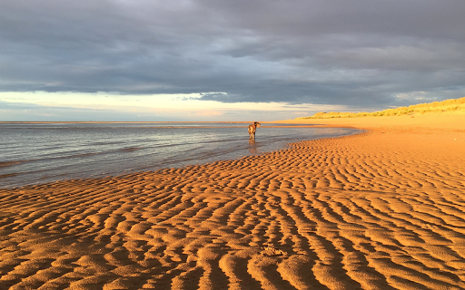Yellow sand, blue sea  from Chrome web store to be run with OffiDocs Chromium online