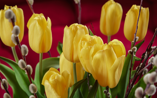 Yellow tulips and rosehips  from Chrome web store to be run with OffiDocs Chromium online