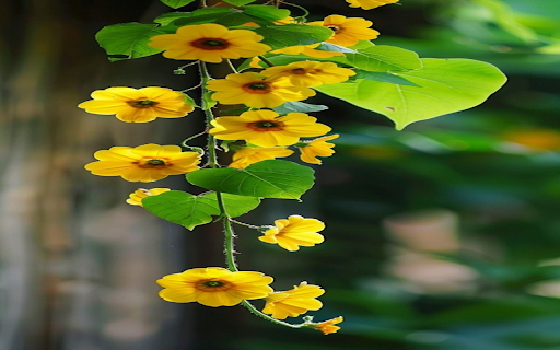 Yellow vines wallpaper  from Chrome web store to be run with OffiDocs Chromium online
