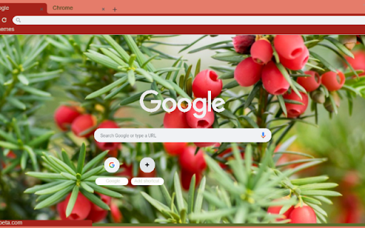 Yew  from Chrome web store to be run with OffiDocs Chromium online