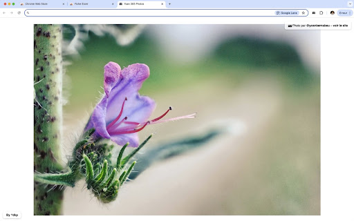 Yoan 365 Photos – Nouvel onglet  from Chrome web store to be run with OffiDocs Chromium online
