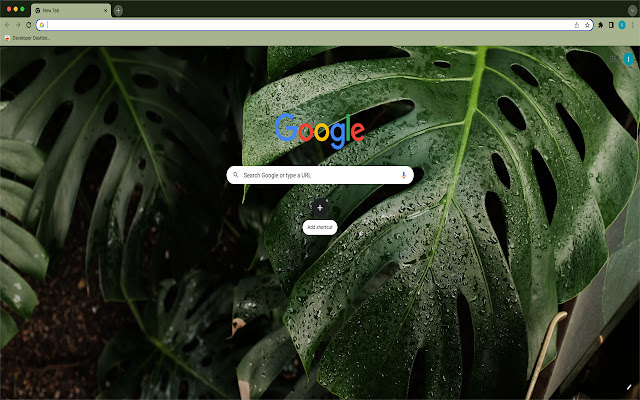 Yougi Botanicals New Tab  from Chrome web store to be run with OffiDocs Chromium online