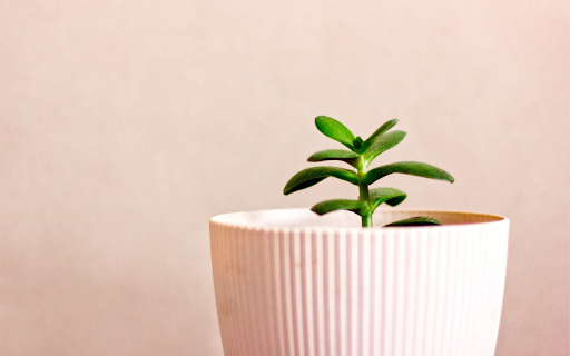 Young tree for table  from Chrome web store to be run with OffiDocs Chromium online