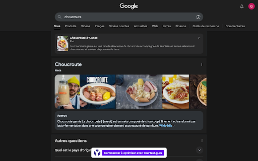 YourText.guru – Plugin Navigateur  from Chrome web store to be run with OffiDocs Chromium online