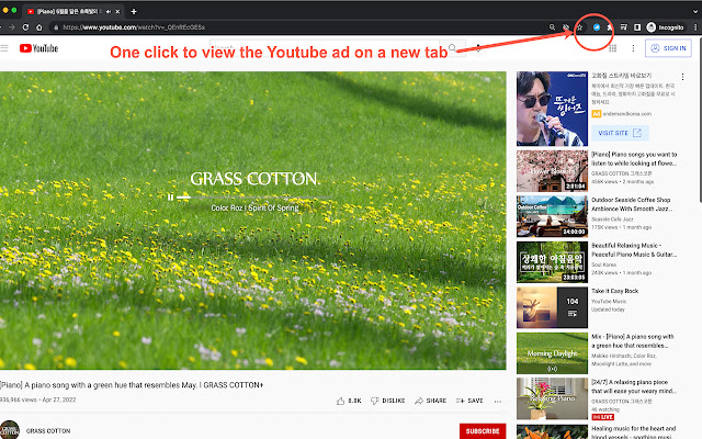YouTube Ad URL Grabber  from Chrome web store to be run with OffiDocs Chromium online
