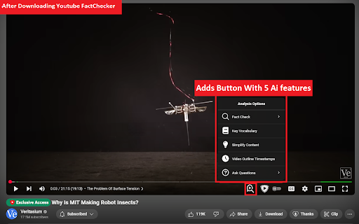 Youtube AI Companion  from Chrome web store to be run with OffiDocs Chromium online
