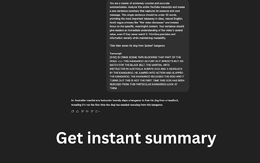 YouTube AI Summary  Translate  from Chrome web store to be run with OffiDocs Chromium online