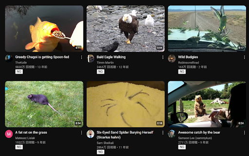 YoutubeChannelBloker  from Chrome web store to be run with OffiDocs Chromium online