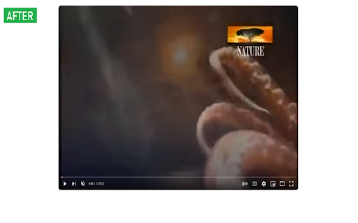 YouTube Cleanup  from Chrome web store to be run with OffiDocs Chromium online