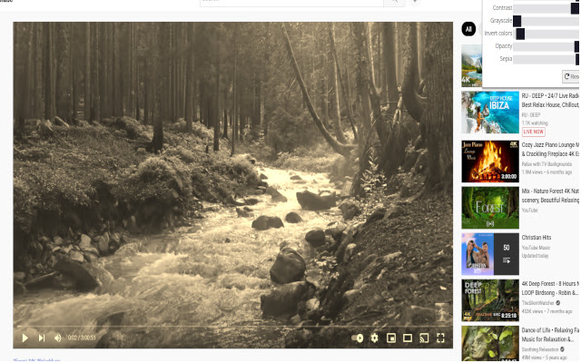 YouTube color adjust  from Chrome web store to be run with OffiDocs Chromium online