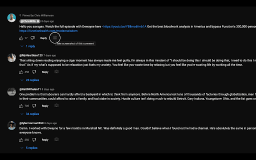 YouTube Comment Screenshot  from Chrome web store to be run with OffiDocs Chromium online