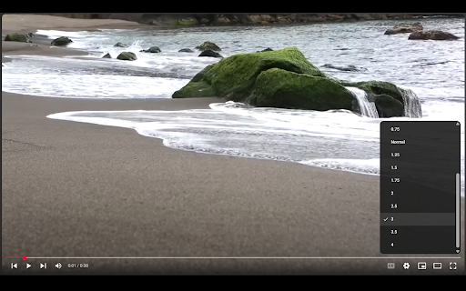 YouTube Extended Speeds  from Chrome web store to be run with OffiDocs Chromium online