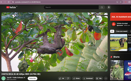 YouTube Hide Control On Pause  from Chrome web store to be run with OffiDocs Chromium online
