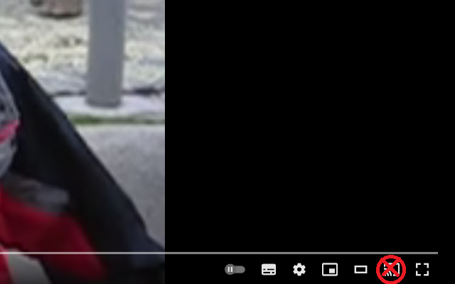 YouTube No Cast  from Chrome web store to be run with OffiDocs Chromium online
