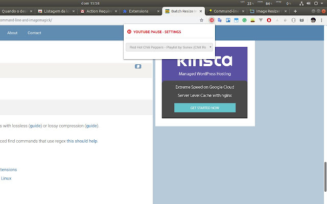 Youtube Pause  from Chrome web store to be run with OffiDocs Chromium online