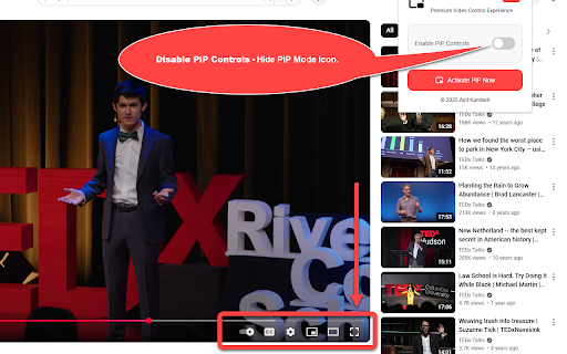 YouTube PiP Pro  from Chrome web store to be run with OffiDocs Chromium online