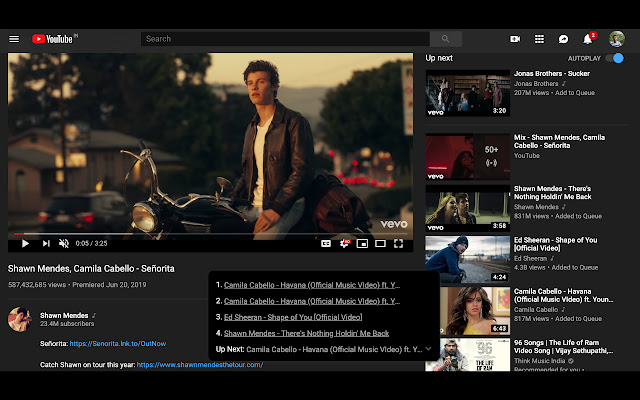 Youtube Playlist  from Chrome web store to be run with OffiDocs Chromium online