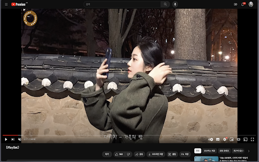 YouTube Playlist Video Extractor  from Chrome web store to be run with OffiDocs Chromium online