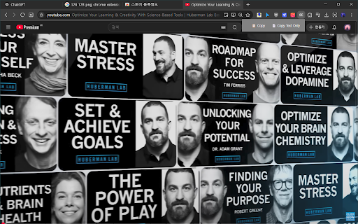 YouTube Script Copy  from Chrome web store to be run with OffiDocs Chromium online