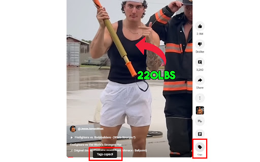 YouTube Shorts Extractor  from Chrome web store to be run with OffiDocs Chromium online