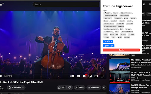 YouTube Tags Viewer  from Chrome web store to be run with OffiDocs Chromium online
