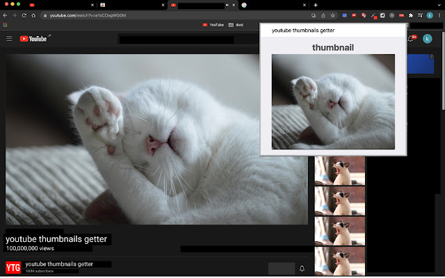 youtube thumbnails getter  from Chrome web store to be run with OffiDocs Chromium online