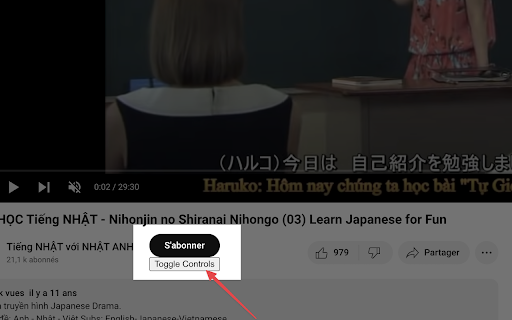 YouTube Toggle Controls  from Chrome web store to be run with OffiDocs Chromium online