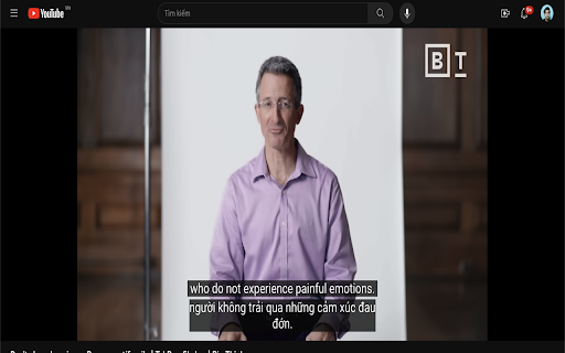 YouTube Translator Parallel (vi en)  from Chrome web store to be run with OffiDocs Chromium online