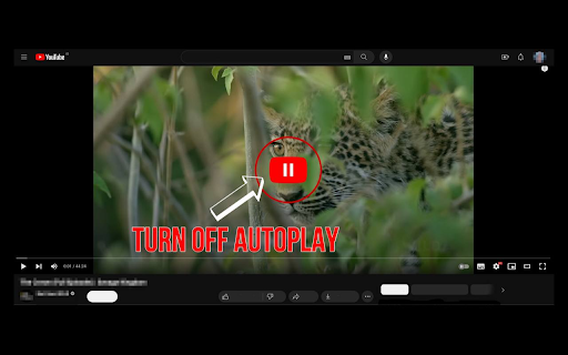 YouTube turn off autoplay  from Chrome web store to be run with OffiDocs Chromium online