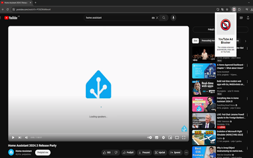 YouTube Video Ad Blocker  from Chrome web store to be run with OffiDocs Chromium online