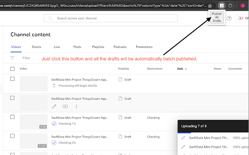 YouTube Video Batch Publisher  from Chrome web store to be run with OffiDocs Chromium online