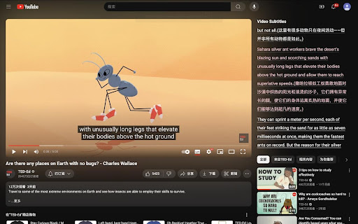 Youtube Video language Learn  from Chrome web store to be run with OffiDocs Chromium online