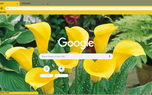 Zantedeschia  from Chrome web store to be run with OffiDocs Chromium online