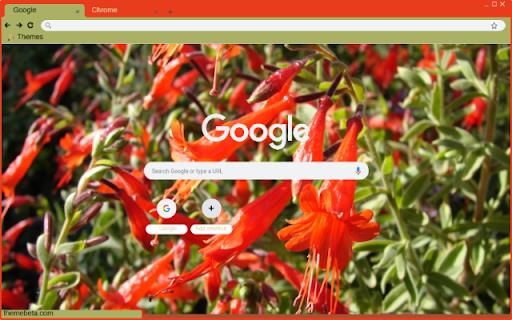 Zauschneria  from Chrome web store to be run with OffiDocs Chromium online