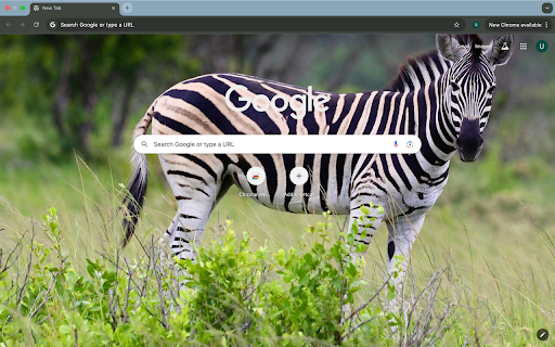 zebra and grassland  from Chrome web store to be run with OffiDocs Chromium online