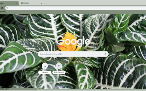 Zebra Plant  from Chrome web store to be run with OffiDocs Chromium online