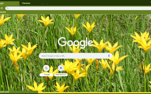 Zephyranthes  from Chrome web store to be run with OffiDocs Chromium online