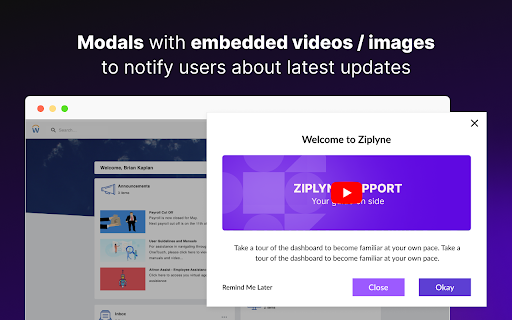 Ziplyne POC Player  from Chrome web store to be run with OffiDocs Chromium online