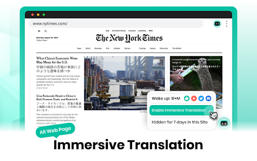 ZipZap.AI Immersive Multilingual Translation  from Chrome web store to be run with OffiDocs Chromium online
