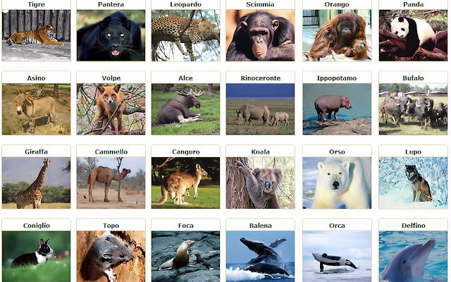 Zoo virtuale  from Chrome web store to be run with OffiDocs Chromium online