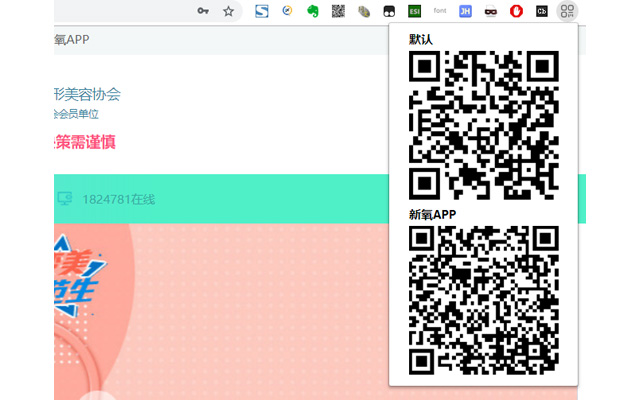 Z QR Code  from Chrome web store to be run with OffiDocs Chromium online