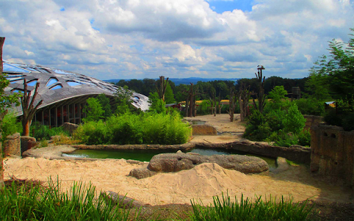 Zürich Zoo  from Chrome web store to be run with OffiDocs Chromium online