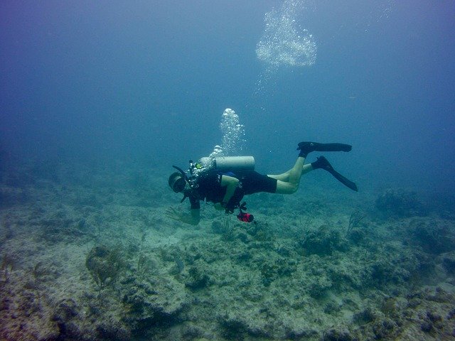 Free download Scuba Diving Islamorada Florida -  free photo or picture to be edited with GIMP online image editor