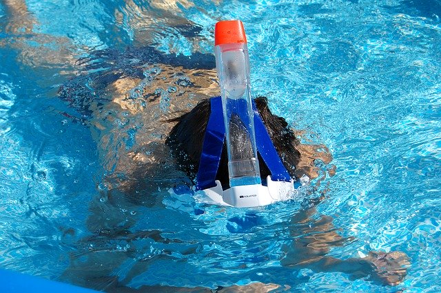 تنزيل Scuba Pool Diving - صورة مجانية أو صورة مجانية ليتم تحريرها باستخدام محرر الصور عبر الإنترنت GIMP