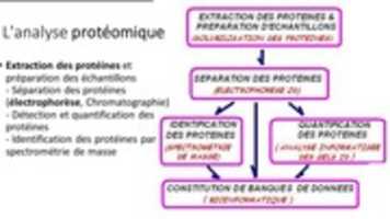 ດາວໂຫລດຮູບພາບຫຼືຮູບພາບ SDS-PAGE ຟຣີເພື່ອແກ້ໄຂດ້ວຍຕົວແກ້ໄຂຮູບພາບອອນໄລນ໌ GIMP