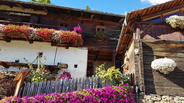 Bezpłatne pobieranie Südtirol Flowers - bezpłatne zdjęcie lub obraz do edycji za pomocą internetowego edytora obrazów GIMP
