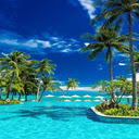 Sea and coconut tree wallpaper  screen for extension Chrome web store in OffiDocs Chromium