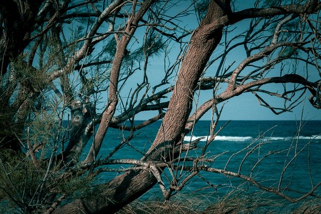 Free download Sea Autumn Puglia Torre free photo template to be edited with GIMP online image editor