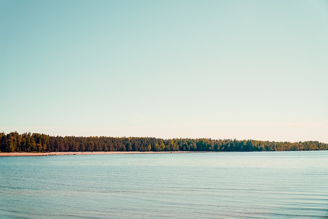Free download sea beach forest nature horizon free picture to be edited with GIMP free online image editor